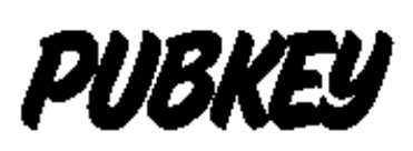 Pubkey NYC